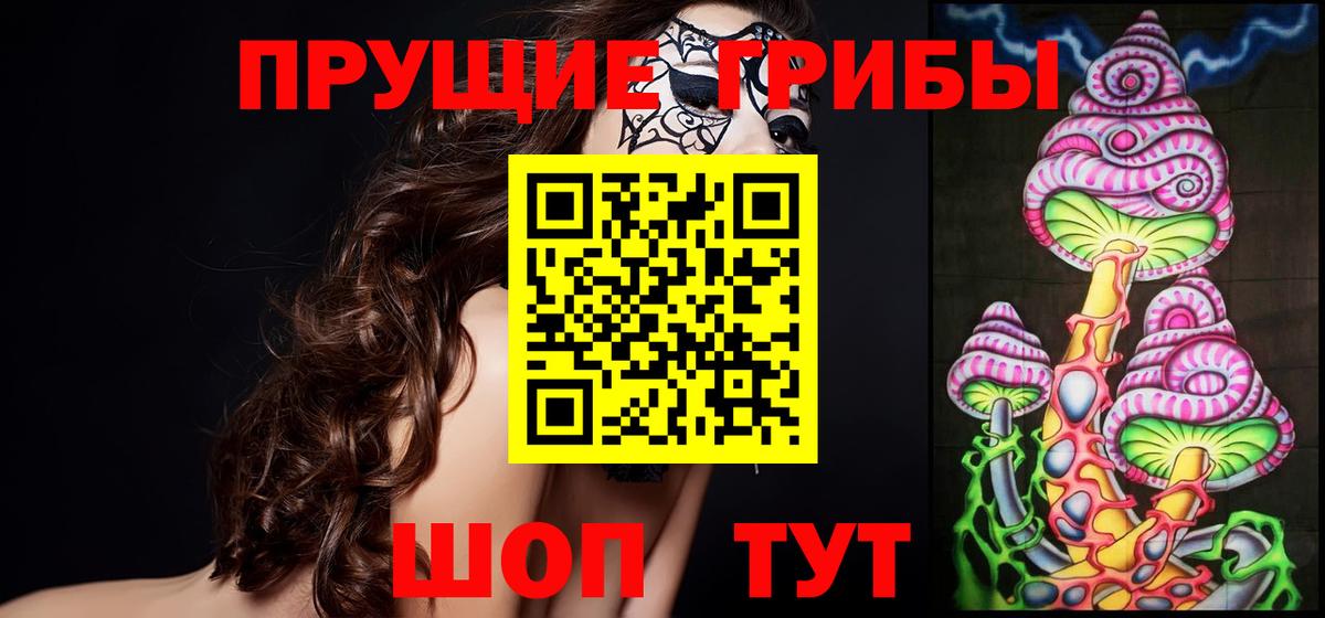 Пенза  Псилоцибиновые грибы мухоморы  Вход с VPN 